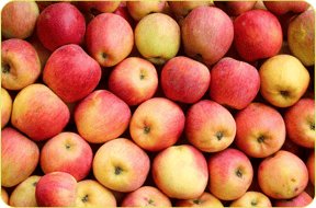 2019_S5_Apples_Dwelly-Farms_Open_Source_3 206-2