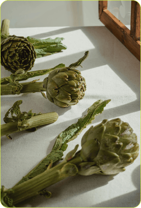 2019_S5_Apples_Dwelly-Farms_Open_Source_3 208-3