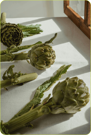 2019_S5_Apples_Dwelly-Farms_Open_Source_3 208-3