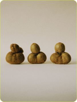 2019_S5_Apples_Dwelly-Farms_Open_Source_3 209-1