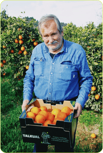 2019_S5_Apples_Dwelly-Farms_Open_Source_3 209-2