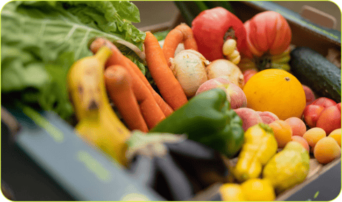 2019_S5_Apples_Dwelly-Farms_Open_Source_3 211