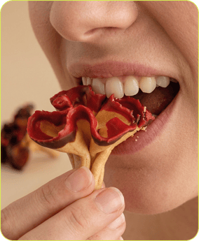 Rosa de chocolate - El Rosal x TALKUAL