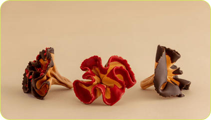 rosas de chocolate para Sant Jordi