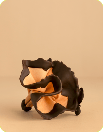 rosa de chocolate para Sant Jordi