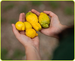 Imagen_blog_newsletter 2