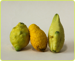 Imagen_blog_newsletter-2