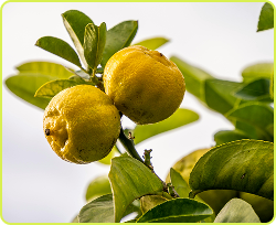 Imagen_blog_newsletter-3