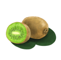 Kiwi-Feb-28-2025-12-53-40-7560-PM