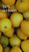 Estos son los beneficios y las curiosidades del limón