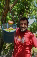 Calendari de fruites i verdures de juliol