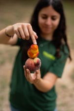 Idees d'esmorzars saludables amb fruita de temporada
