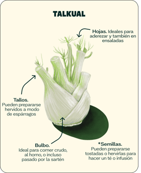 Partes_Hinojo_verduradelmes