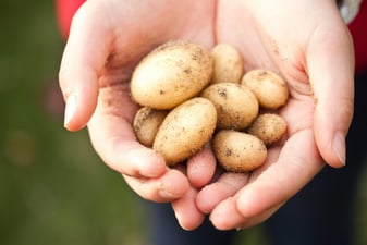 Cuáles son los carbohidratos saludables