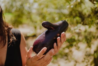 Albergínies amargues? Aquí tens la solució