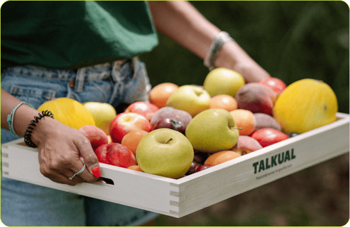 TALKUAL - fruta para empresas