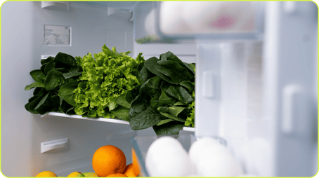 VERDURA_NEVERA_TALKUAL