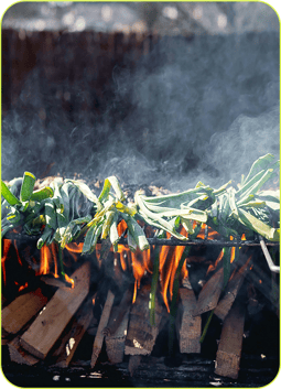 calçots_brasa