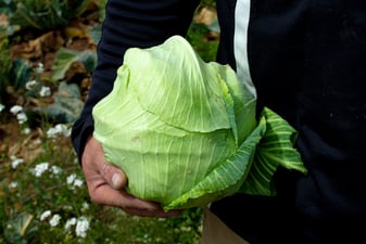 Las frutas y verduras de temporada: enero