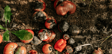 Consumo y desperdicio: el sistema que no queremos alimentar