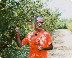 D'enginyer a agricultor de fruita a Lleida: la història d'en Joan