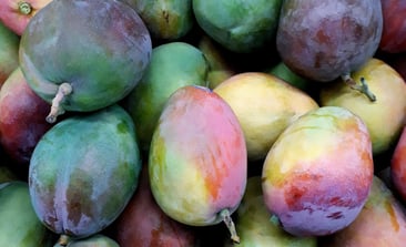 Cuáles son las frutas y verduras de septiembre