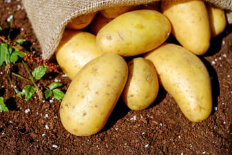 Beneficis i propietats de les patates