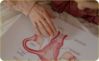 salud hormonal femenina